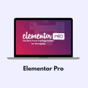 Elementor Pro Activation With Key 