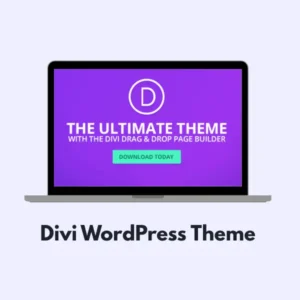 Divi WordPress Theme With API Key