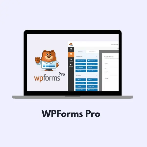 WPForms Pro Activation With Key